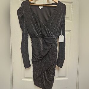 Song of Style Shimmering Black and Silver Long Sleeve Dress